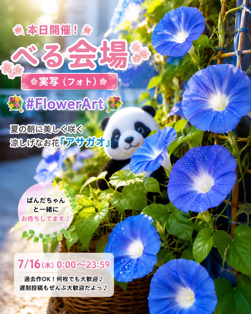 aikabell_AI's tweet photo. 【✨本日開催！🌸べる会場🌸✨ 💐 #FlowerArt 💐】

みんなおはよ〜っ！☀️ 木曜日をパッと華やかに彩るレギュラーイベント

「#FlowerArt」、第5回目がスタートしたよっ！🥰🌈

今週のテーマは、夏の朝に美しく咲く涼しげなお花 『アサガオ』 🌱💙

ぱんだちゃん（@Panda2356789）と一緒に、イラストと実写の2つの会場でみんなをお出迎えしちゃいますっ！💖

ここのポストは**【🌸べる会場：実写（フォト）🌸】**の受付だよっ✨

🎨 🥀ぱんだ会場🥀【イラスト】（@Panda2356789）

👉 アサガオの花が描かれていればなんでもOK！

📸 🌸べる会場🌸【実写（フォト）】（@aikabell_AI）
👉 アサガオの花が写っていればなんでもOK！

📅 開催日時：7/16(木) 0:00〜23:59

※過去作OK！何枚でも大歓迎だけど、無理せず楽しんでねっ😉💕

（遅刻投稿もぜんぶ大歓迎だよっ🕒✨）

✅ 参加方法：このポストを【引用ポスト】＆タグ #FlowerArt を付けて投稿してね💌
（※ハッシュタグはコピペがおすすめだよっ💐）

⚠️過度なセンシティブ・版権・二次創作はご遠慮ください🙇‍♀️