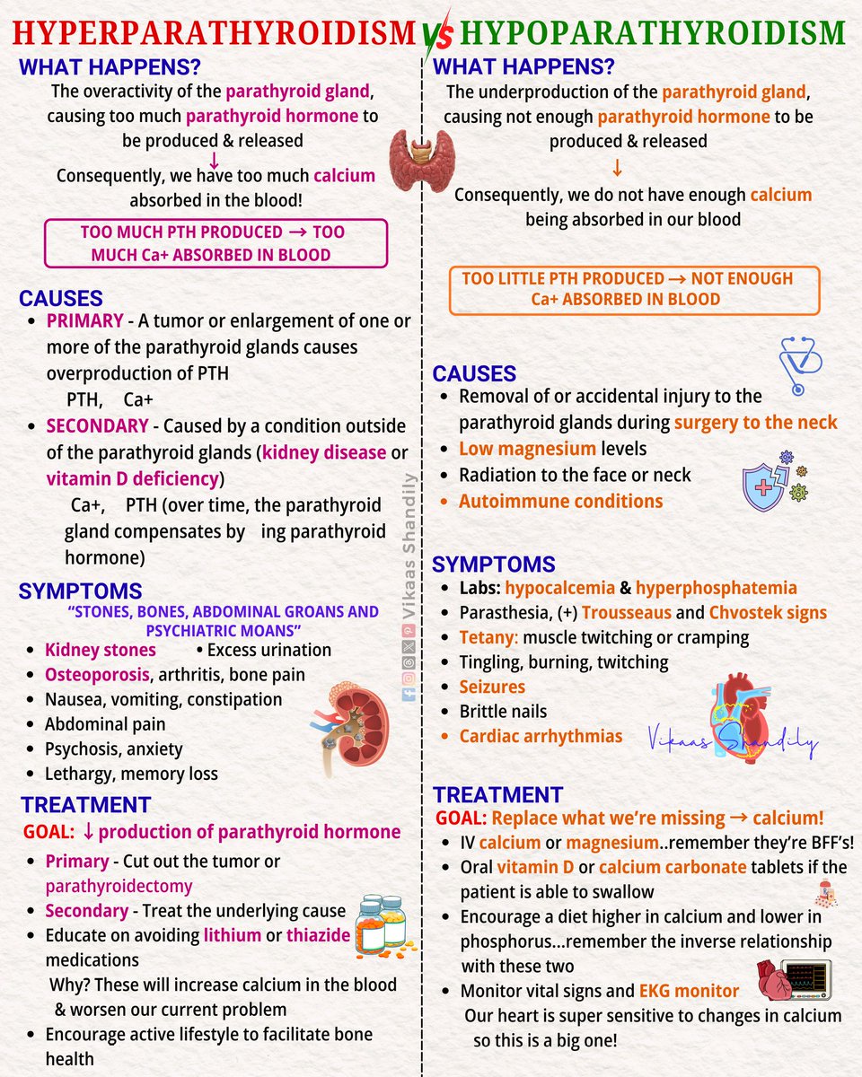 VikaasShandily's tweet photo. Hyperparathyroidism vs Hypoparathyroidism | Causes, Symptoms & Treatment
#MedicalEducation #MBBS #NEETPG #MedStudy #VikaasShandily https://t.co/PsHGUYN7iy