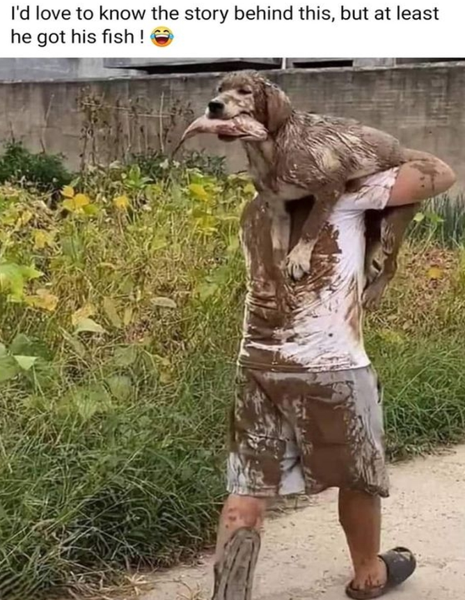 TweeetsOfDogs's tweet photo. 😂 https://t.co/eFlCaD24Sg