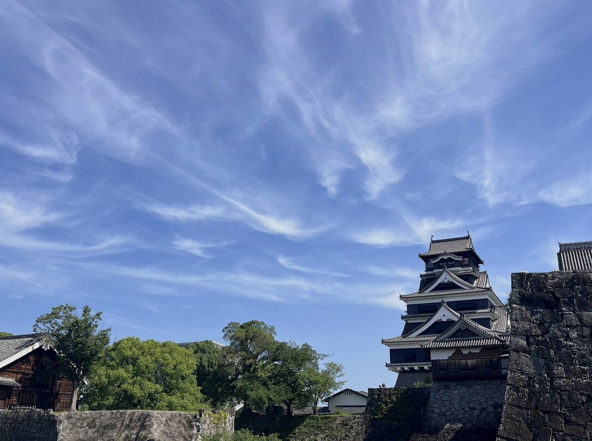 EmrahDindi's tweet photo. 小学校時代黒魔女さんずっと読んでたオタクだから今欲しすぎてやばい、番外編みたいなやつとかプロフ帳とかも隅から隅まで読んでた https://t.co/l20zdMoZgV