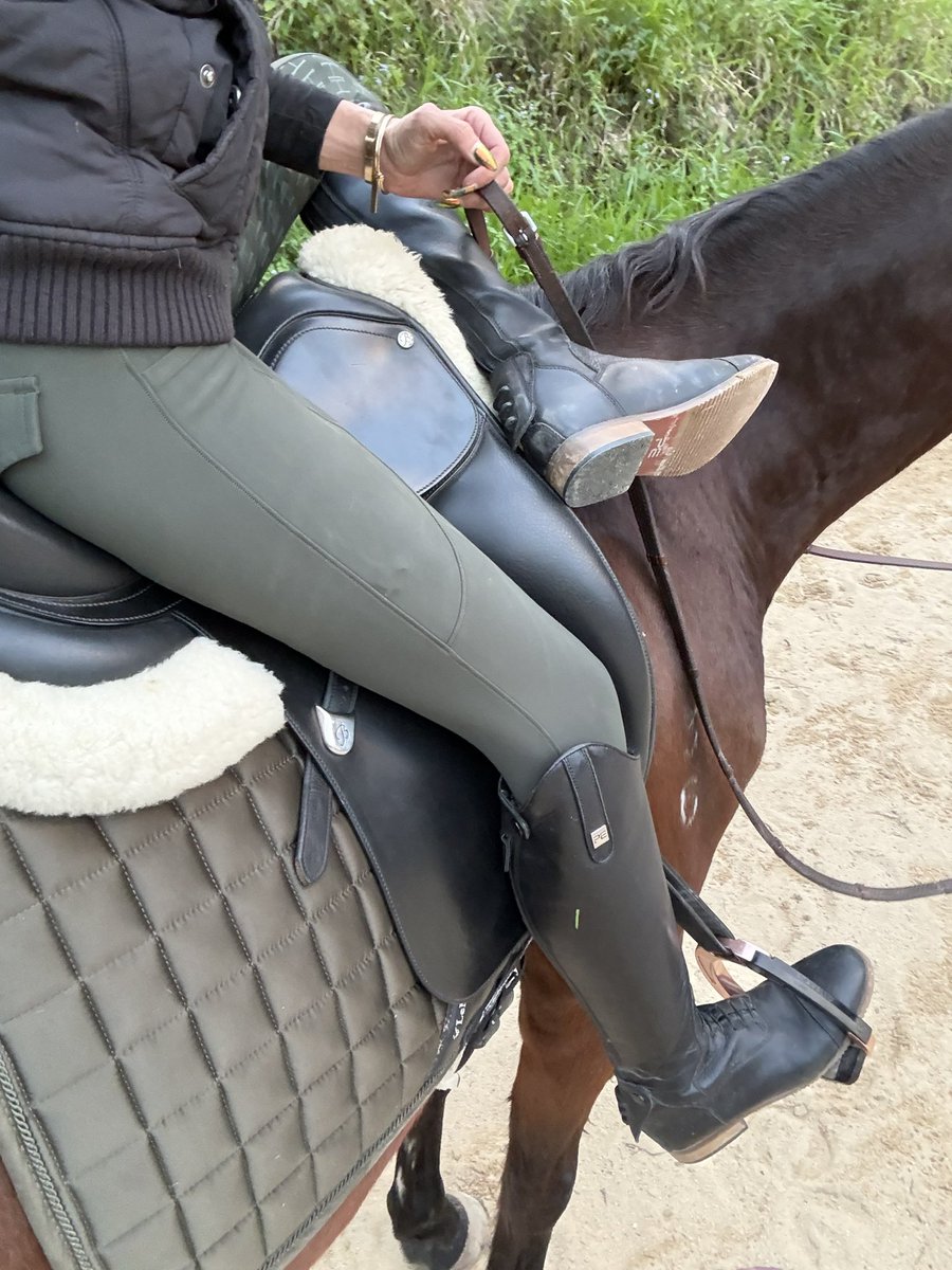 TheToeyArtist's tweet photo. Equestrian brat, horsing around https://t.co/pZCYbXkbV6