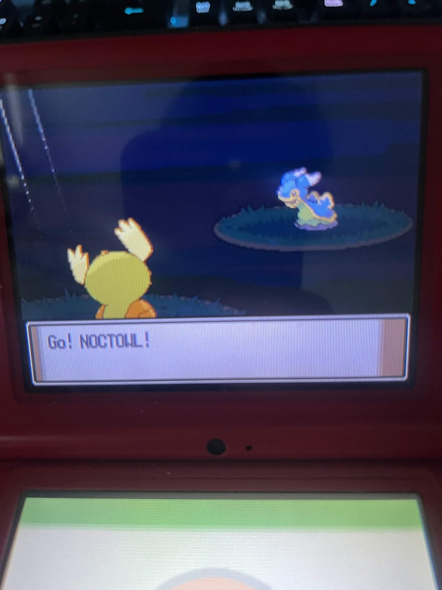 NotSaltySushi's tweet photo. Pre-gaming for Safari Week. only 30 or so re-encounters in Plat! https://t.co/Fgx1K09UG1