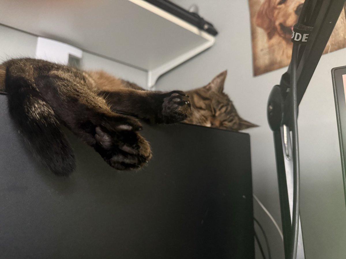 ContentDrew tweet picture
