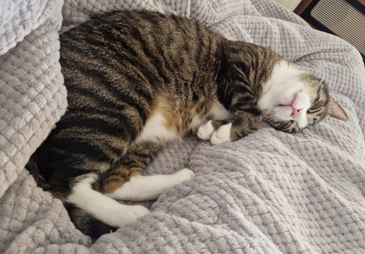 satanasputas's tweet photo. Mon fiston a fêté ses 6ans ajd!! https://t.co/GhKznWhHDi