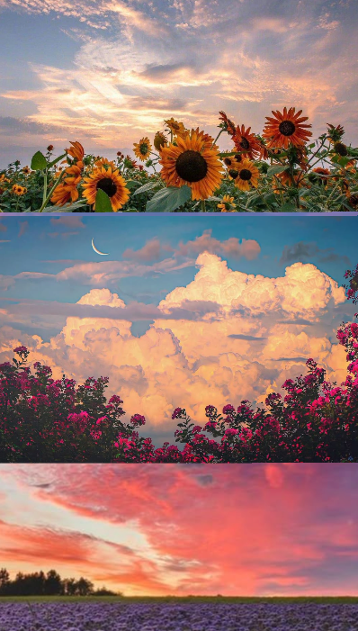 petalesblancs's tweet photo. sky https://t.co/KFNhYDL7cn