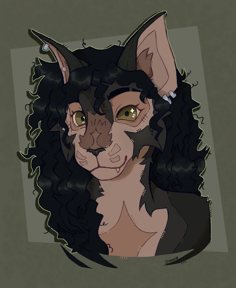 junikxo's tweet photo. Lykoi! https://t.co/DfG1PsH1Fj