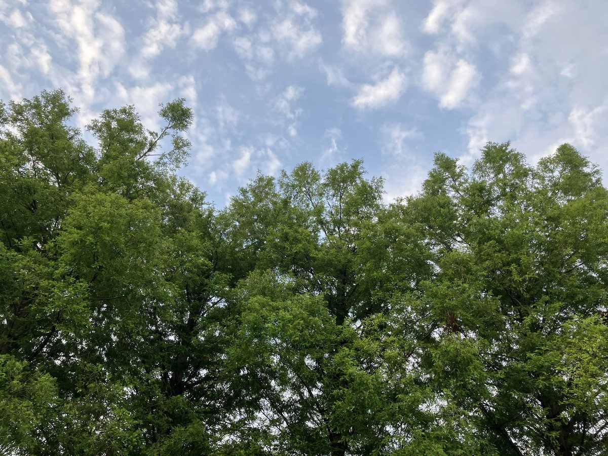 長谷川幸子/特定行政書士/一般社団法人伝筆協会認定講師