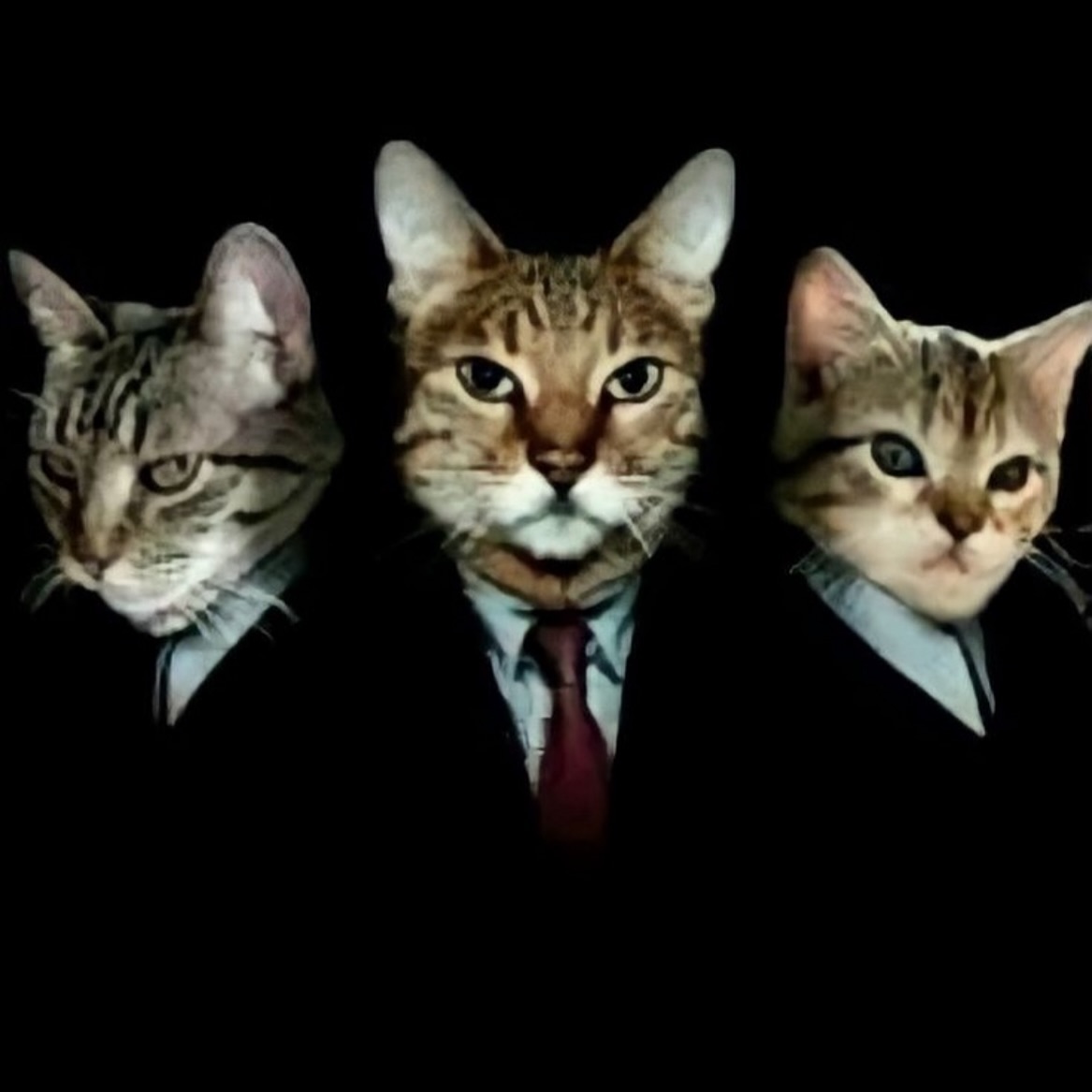 PunchingCat's tweet photo. https://t.co/jXXXVKmA06