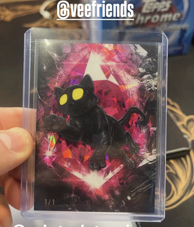 VeeFriends Cards 1/1 Tracker tweet media