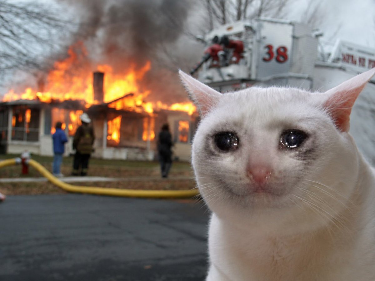 CryingCat_Token's tweet photo. @afroreal Im not crazy.. I'm Crying.. https://t.co/aHHPMhWNMC