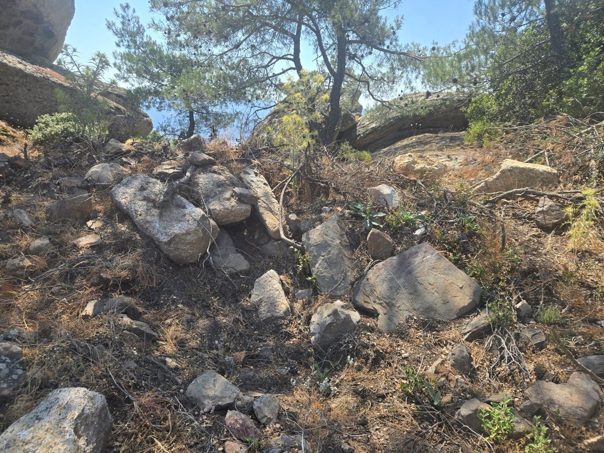 selahattnaydiin's tweet photo. Aydın Çine ve Muğla Milas sınırlarında olan antik kent ve kutsal alan sömürge madenciliğiyle çok büyük zarar görecek. 6 saat boyunca alanı yürüdüm. Sadece maden değil ihale edilen ağaçları kesen şirket de yol açarken yapıları, dokuyu katletmiş. Durdurun bu katliamları. https://t.co/uz86l28k7I