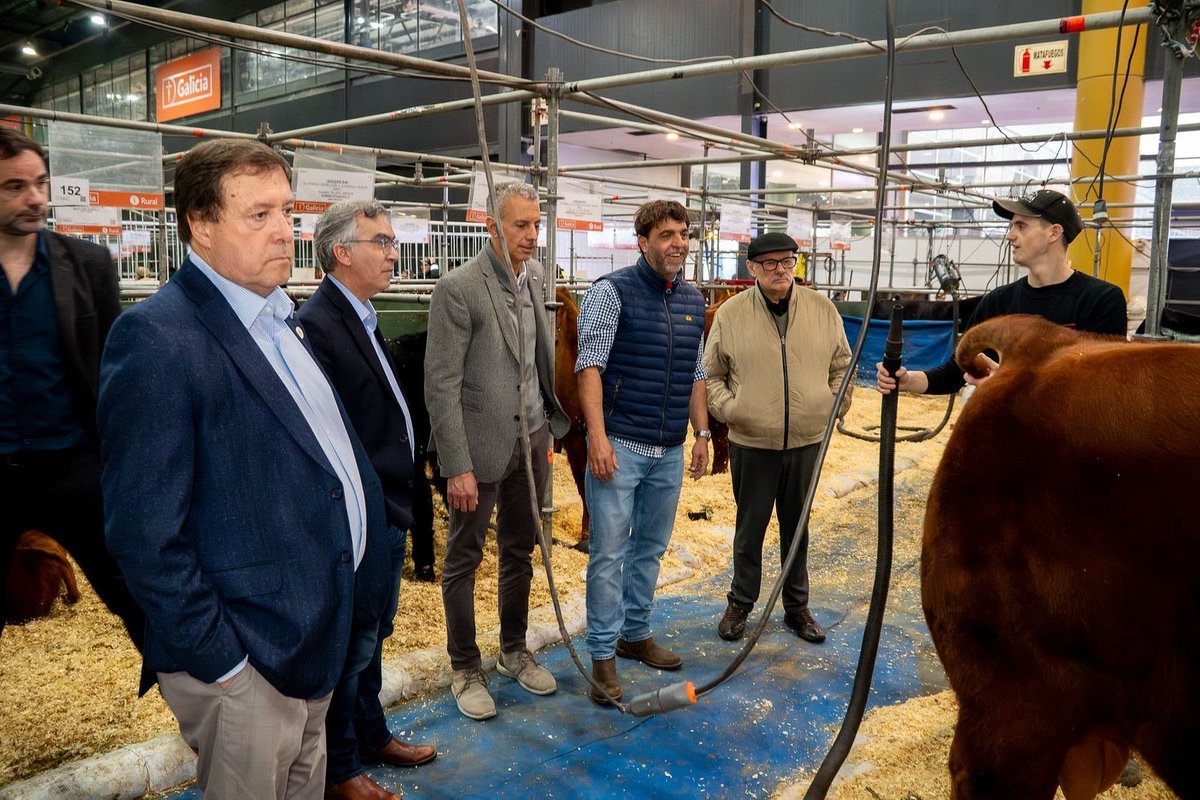 WeretilneckOK's tweet photo. RÍO NEGRO LLEVA SU MEJOR GENÉTICA A PALERMO

Durante muchos años fuimos a buscar genética a otras provincias. Hoy son las cabañas rionegrinas las que llegan a la Exposición Rural de Palermo para mostrar el resultado del trabajo, la inversión y el esfuerzo de nuestros productores.

Hace 20 años que sostenemos una política para fortalecer la ganadería, incorporando infraestructura, financiamiento y mejoramiento genético junto al sector privado. Ese trabajo hoy nos permite competir en uno de los escenarios ganaderos más importantes del país con animales nacidos y desarrollados en Río Negro.

Cuando acompañamos al que produce, los resultados llegan. Y el crecimiento de nuestra ganadería es una muestra de que Río Negro tiene todo para seguir siendo protagonista en la producción argentina.

Sabemos que falta y que todavía hay mucho por hacer. Pero tenemos un rumbo claro: agregar valor a nuestra producción, generar más oportunidades y seguir poniendo a Río Negro en lo más alto.