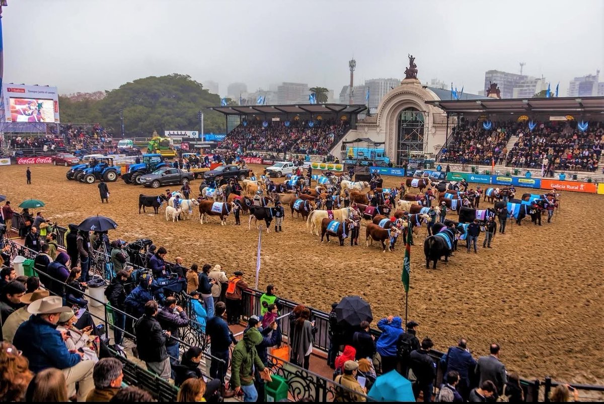 WeretilneckOK's tweet photo. RÍO NEGRO LLEVA SU MEJOR GENÉTICA A PALERMO

Durante muchos años fuimos a buscar genética a otras provincias. Hoy son las cabañas rionegrinas las que llegan a la Exposición Rural de Palermo para mostrar el resultado del trabajo, la inversión y el esfuerzo de nuestros productores.

Hace 20 años que sostenemos una política para fortalecer la ganadería, incorporando infraestructura, financiamiento y mejoramiento genético junto al sector privado. Ese trabajo hoy nos permite competir en uno de los escenarios ganaderos más importantes del país con animales nacidos y desarrollados en Río Negro.

Cuando acompañamos al que produce, los resultados llegan. Y el crecimiento de nuestra ganadería es una muestra de que Río Negro tiene todo para seguir siendo protagonista en la producción argentina.

Sabemos que falta y que todavía hay mucho por hacer. Pero tenemos un rumbo claro: agregar valor a nuestra producción, generar más oportunidades y seguir poniendo a Río Negro en lo más alto.