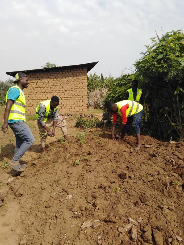 cyuveyouth's tweet photo. Kuwa 15/7/2026 youths volunteers y’umurenge wa #cyuve twubakiye akarima k’igikoni umuturage witwa bariyanga syprien @D_Nzogera @MusanzeDistrict @gahundemaurice @MusanzeYouth @YouthMusanze @RobertByiri https://t.co/WE2EeNs4rC