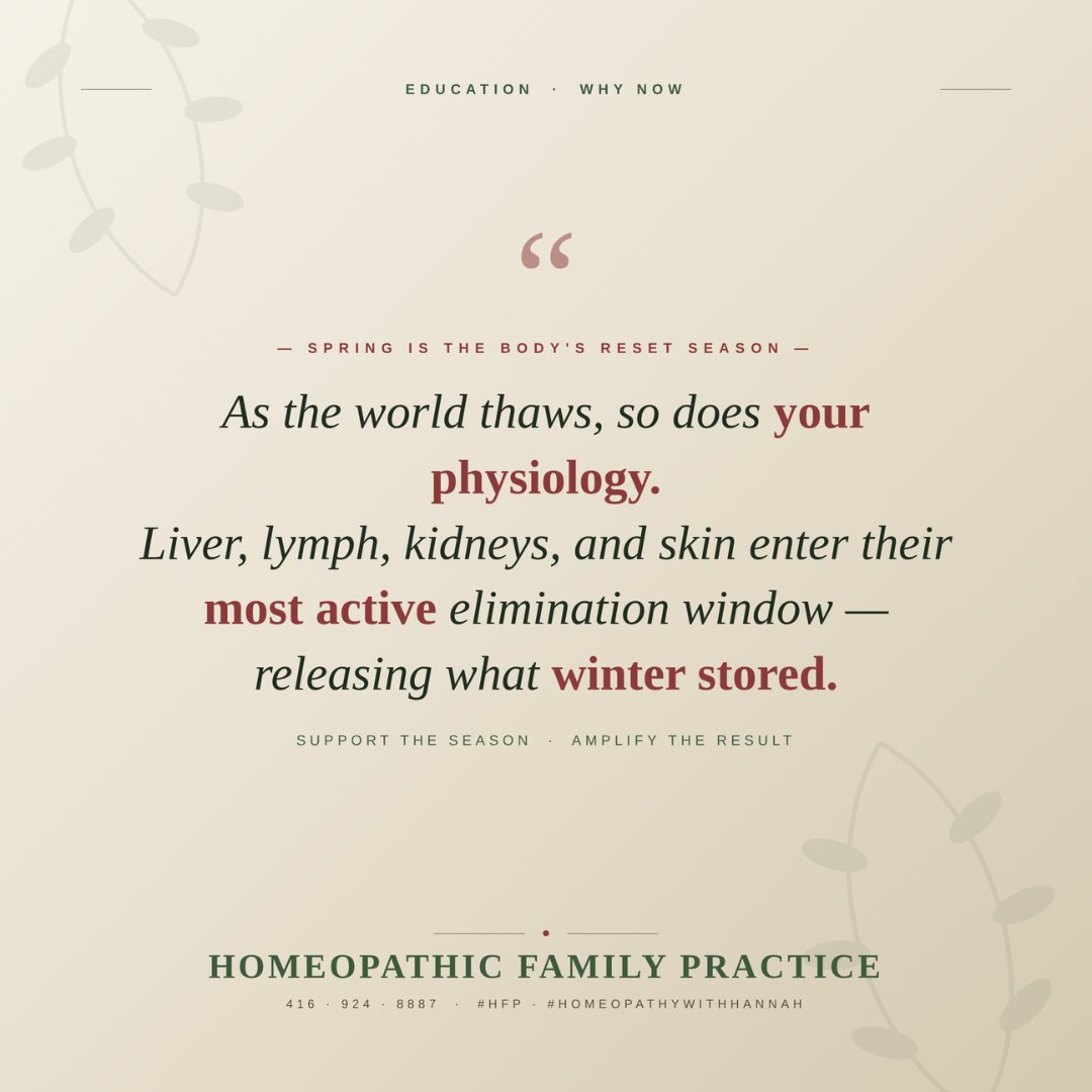 HFPInsider101's tweet photo. #hfp #h101 #homeopathicfamilypractice #packagedeal #lymphatic #lymphaticdrainage #chemo #radiation #cancercare #immunesystem #cellulitetreatment #health #lymph #detoxification #selfcare #wellness #health #bodycontour #lunaviaclinic #homeopathicfamilypractice #bodycontour https://t.co/WZ27iyytlO