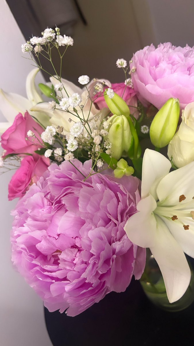 kittykatrawrx's tweet photo. flower obsesseddd atm https://t.co/QIM5orPAX2