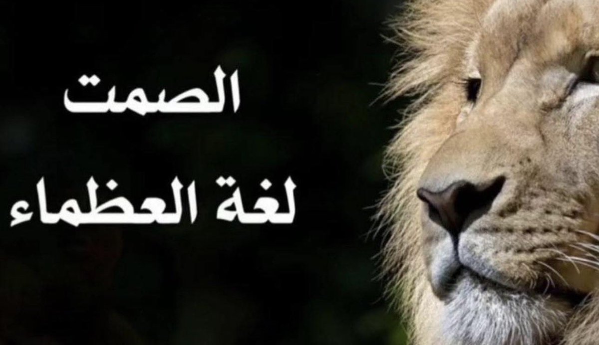 Adel_Films's tweet photo. نولان من بداية العقد نزل 3 افلام
فيلنوف انتهى من ثلاثية كثيب

مات ريفز مع باتمان من 2022: https://t.co/GroBR1WLWD
