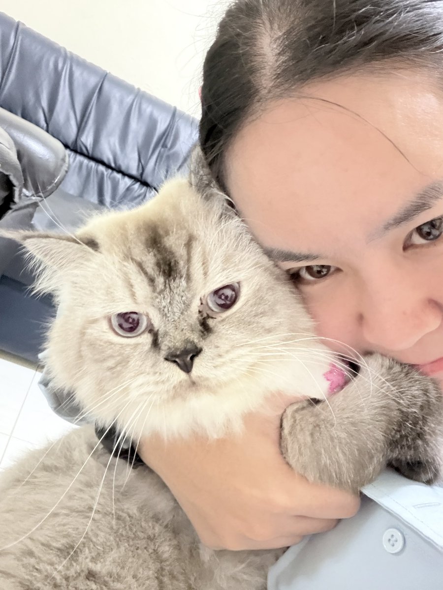 jittayanun's tweet photo. เติมแมวคนอื่น https://t.co/TiEqdxWNDT