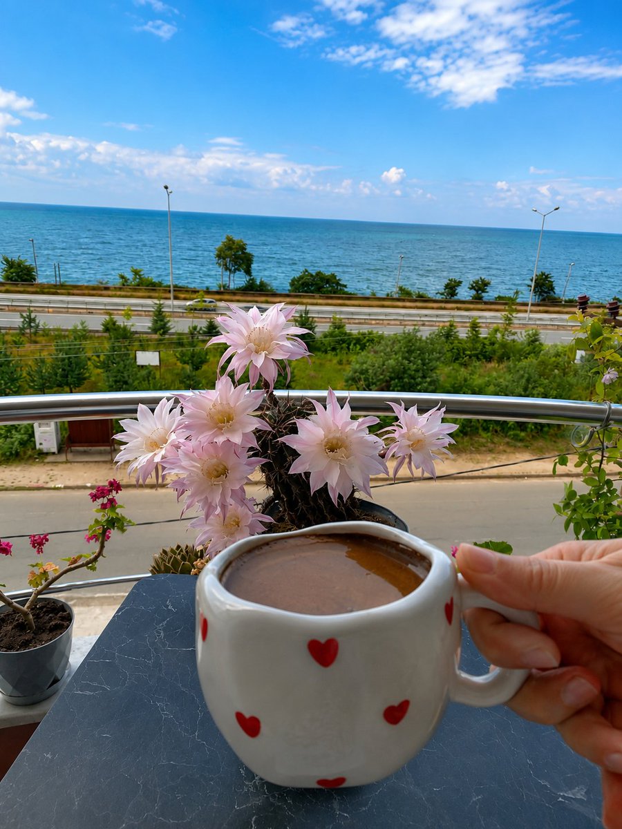 _AGY_98_'s tweet photo. Teyzoşla, kuzenle kahve keyfi... ☕
Deniz manzarası, tatlış misafirler ve sıcacık sohbetler... 🌊🌸 https://t.co/YUEWbMbfOT