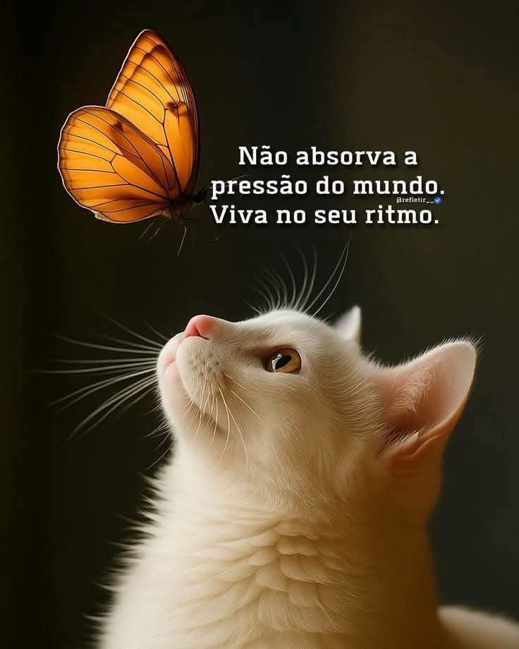 24nilton's tweet photo. https://t.co/tdCjHtgunq