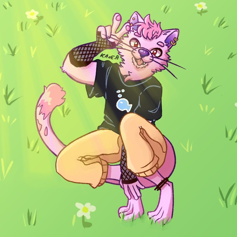 kane_TheAlien's tweet photo. Furrito mejorado :D https://t.co/HCfdfKYcyT