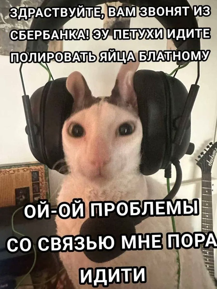 LlafDrAd4XCxk3E's tweet photo. https://t.co/pCDpTxmY3y