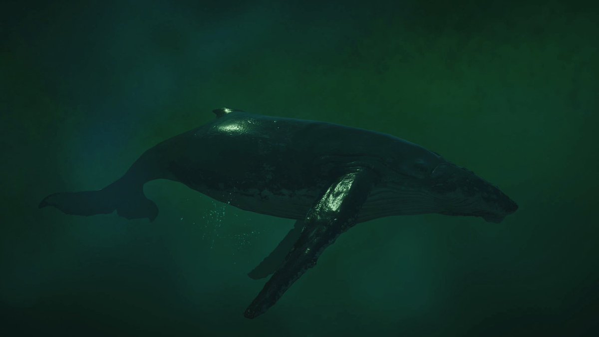 r0gues_fr0ntier's tweet photo. Animals of Black Flag
#AssassinsCreedBlackFlagResynced #ACFinest #PlayStation5 #VirtualPhotography #TheCapturedCollective #VPWorld #ThePhotomode @assassinscreed https://t.co/VKzYsQ9lRp