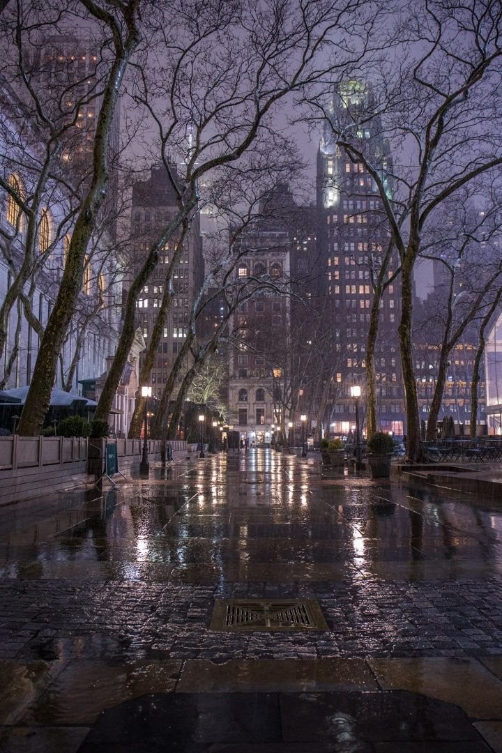 spooky_nature's tweet photo. New york after rain 🌧️ https://t.co/DXHYF9xdz1