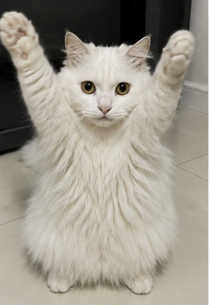 pampuonbase's tweet photo. Who wants a hug from $PAMPU? 

[N.B. you should be a $PAMPU holder ] ☺️ https://t.co/6TwopIafsG