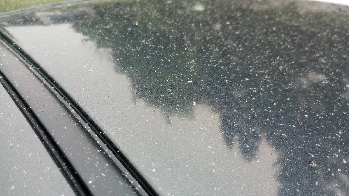 Yoop906's tweet photo. Hey, @Canada fuck you and your wildfire smoke and ash! Get your shit together! You are destroying my quality of life here in Upper Michigan you fucking morons. Put your fucking fires out!! It is snowing wildfire ash here! WTF? https://t.co/JabPbrC0Cs