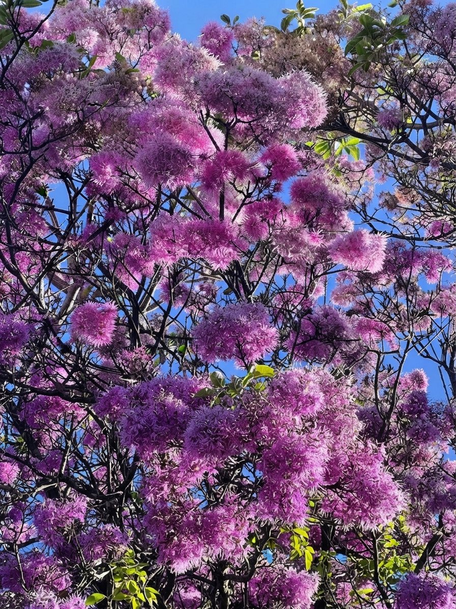 VicNovoa's tweet photo. Los colores del verano en #Quito ☀️ | 📷 Vic https://t.co/U3XHr0qTsW