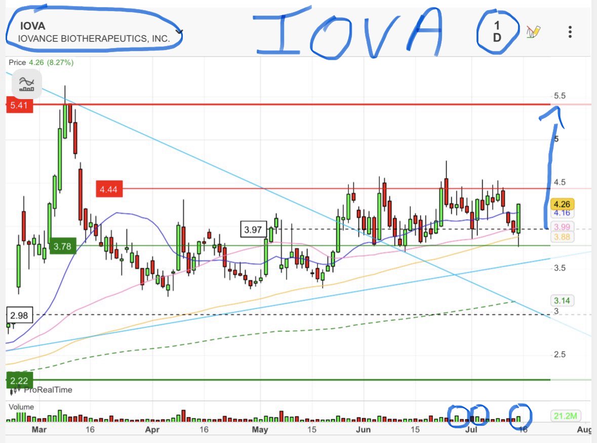 clean_hodl's tweet photo. @kainvests $IOVA I feel like every dip is a huge opportunity 😅 https://t.co/mwgrxTgRHU