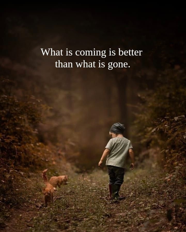 PathofWisdomx tweet picture