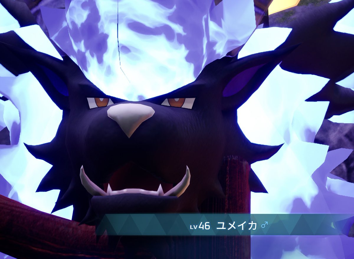 utopia130's tweet photo. なんかめっちゃマヌケ顔 https://t.co/0xAmpeVmqI