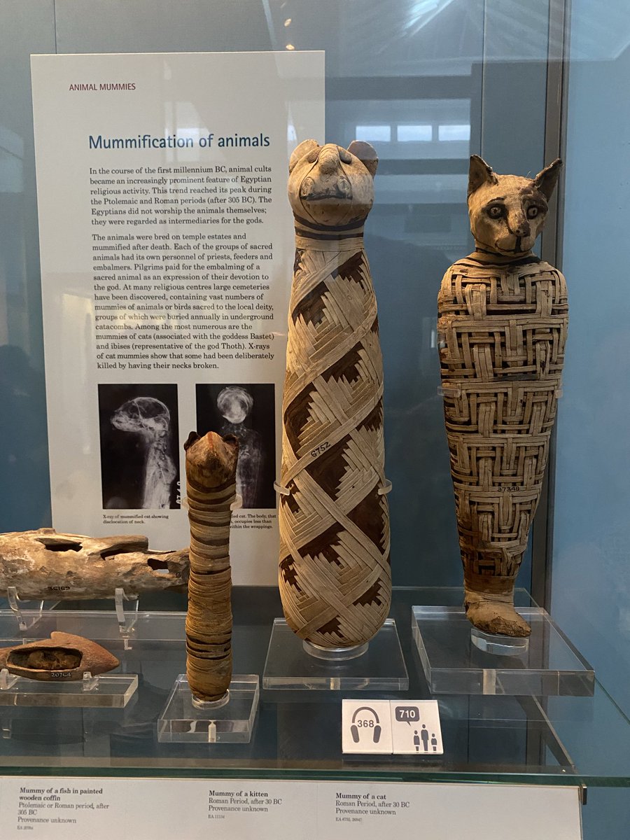 PepaMonteroM's tweet photo. Ya en #Londres, última etapa de #VacacionesVerano2026 En el hotel de ‘siempre’, a dos pasos del #BritishMuseum Sigue siendo gratuito y está abarrotado, como cada vez que venía, cuando viví aquí en 2010. Varias salas cerradas. Relieves asirios y #momias egipcias espectaculares https://t.co/Vz7LiRUs5T