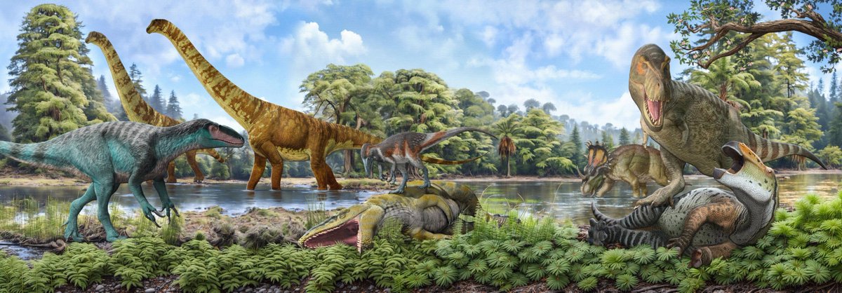 PaleontologieFr's tweet photo. 🦖 Les #mégaraptors seraient nés au #Gondwana, tandis que les ancêtres du #Trex auraient gagné l'Amérique depuis l'Asie. 🌏
Une étude retrace l'essor de ces géants et leur conquête des continents au #Crétacé.
#Megaraptora 

📰 https://t.co/QVamDZ1r3B

🔎 https://t.co/wCGprE2hpS https://t.co/MI8djx2GfI