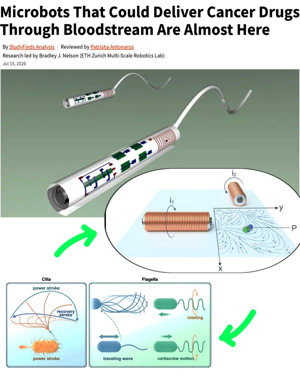 SciTechera's tweet photo. Wow. Finally we're here!

CANCER-FIGHTING MICROBOTS ARE GETTING CLOSER 👀

"Scientists reviewed the latest advances in medical microrobots that could one day navigate through the bloodstream to deliver drugs directly to tumors."

"Instead of flooding the entire body with chemotherapy, these microscopic robots could target cancer cells more precisely, helping reduce damage to healthy tissues and side effects."

"New review also highlights future applications including glioblastoma treatment, blood-brain barrier drug delivery, precision biopsies, blood clot removal and real-time biosensing."

Researchers also conclude the field has advanced rapidly & human clinical trials within this decade is closer than ever.