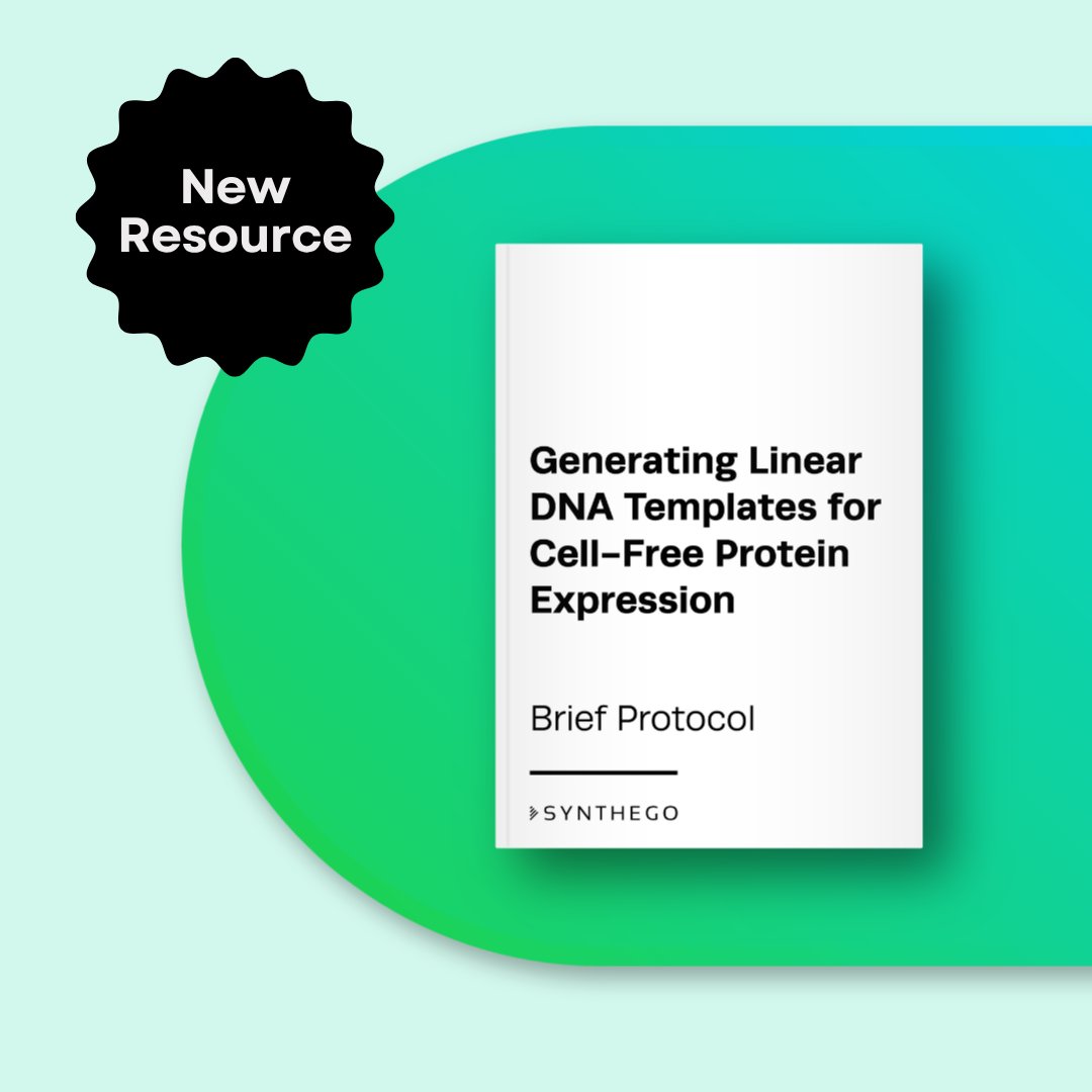 Synthego's tweet photo. Rapid cell-free protein production starts with the right DNA template 🧬 
Our new protocol walks through how to generate linear DNA templates for CFPE using a PCR-based workflow -> https://t.co/StKbfMH3q6 https://t.co/pPCEnGuhBH