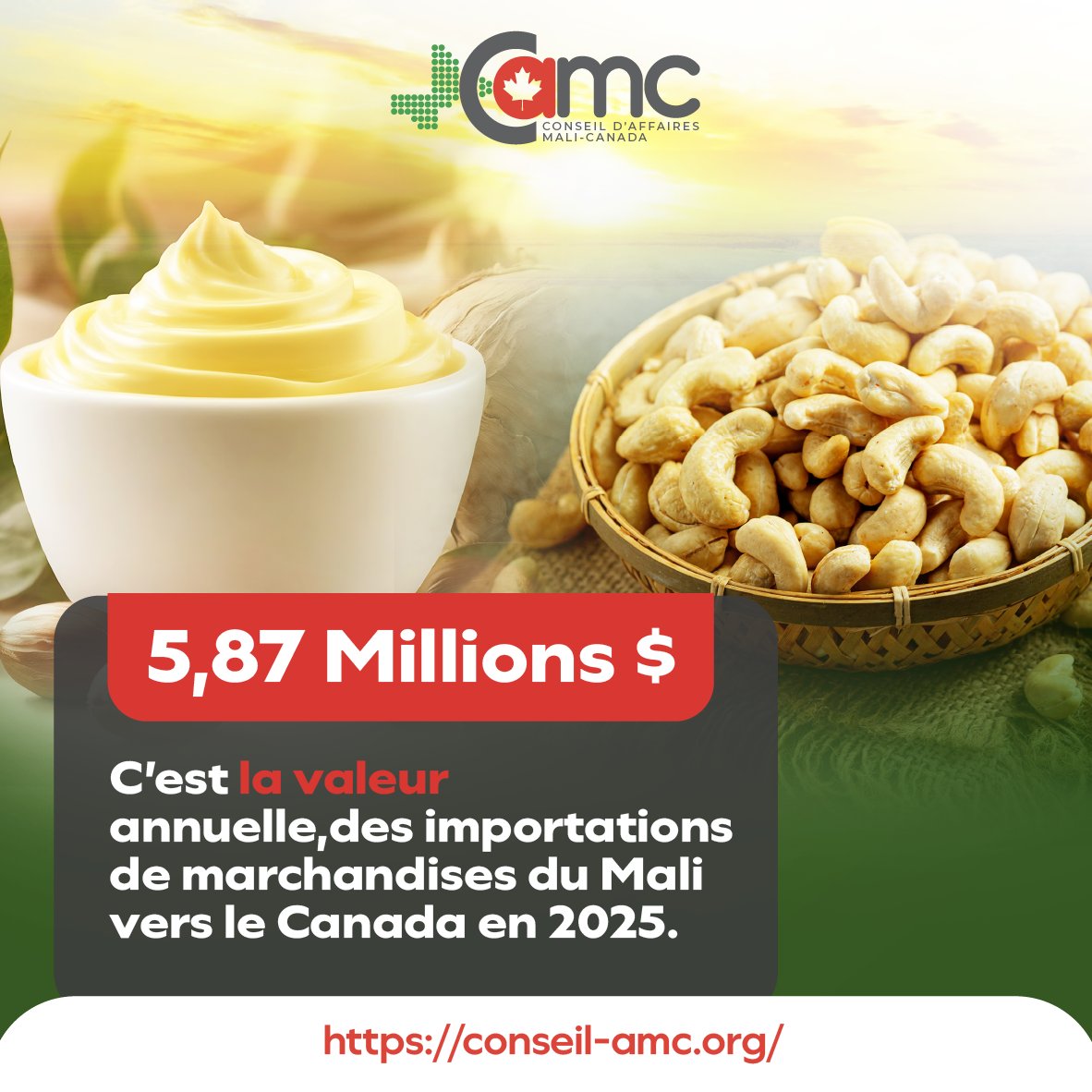 CAMaliCanada's tweet photo. 5,87 Millions $ : c'est la valeur des importations du Mali vers le Canada en 2025. 📊
Porté par le dynamisme de l'agroalimentaire, le CAMC vous fournit un cadre crédible pour propulser ces chiffres encore plus haut.
https://t.co/INQOK9S5Ks

#CAMC #MaliCanada #Agroalimentaire https://t.co/G0aQ3AUwq5