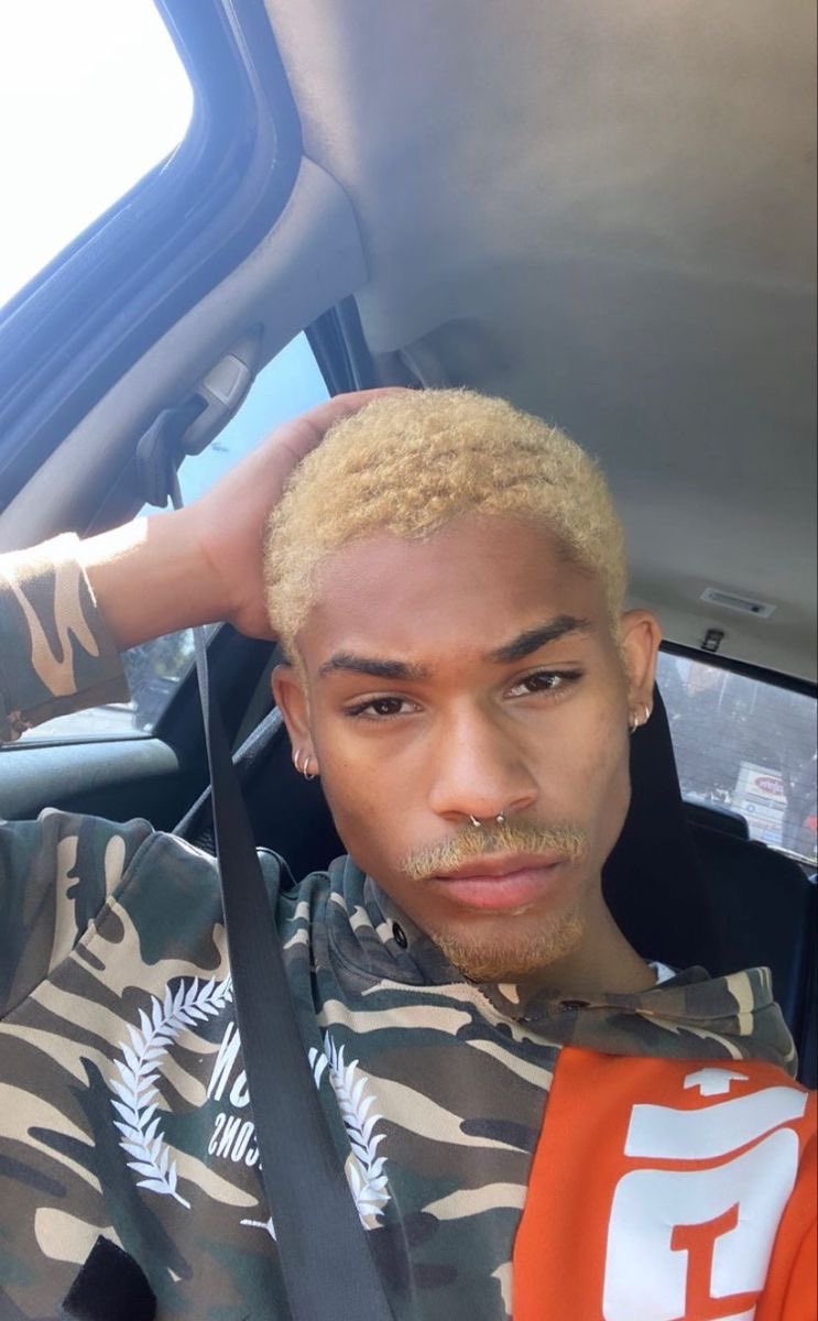 Blondie tweet media