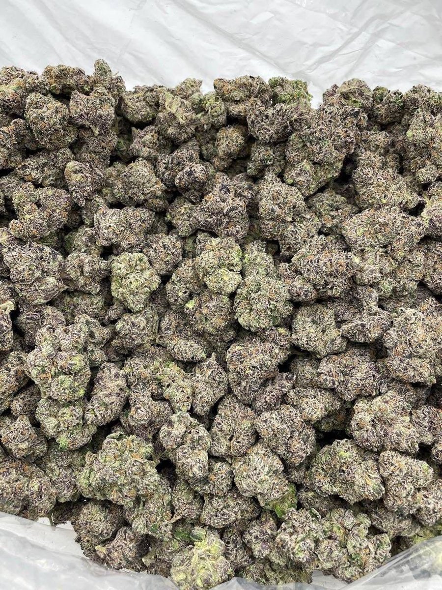 legit_weedplug's tweet photo. Madrid Weed
Barcelona Weed
Seville Weed
Granada Vapes
 Malaga THC
Alicante Vape Pen
Valencia Weed
Murcia City Cali Weed
Palma de Mallorca Buds
Las Palmas Zaza
Córdoba Cali Kush
Badajoz Weed
Mérida Weed https://t.co/u9gX5w4ab2