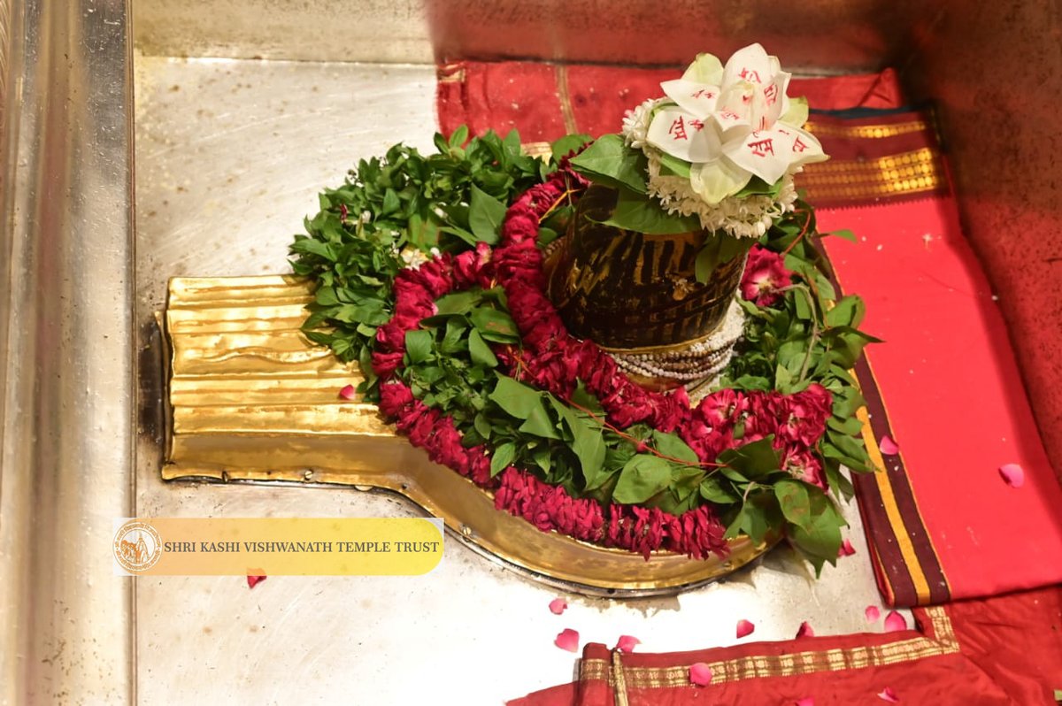 ShriVishwanath's tweet photo. श्री काशी विश्वनाथ जी की श्रृंगार आरती I
#kashivishwanath #kashi #hindu #sanatandharmaहमारे https://t.co/Nej63mqXqf