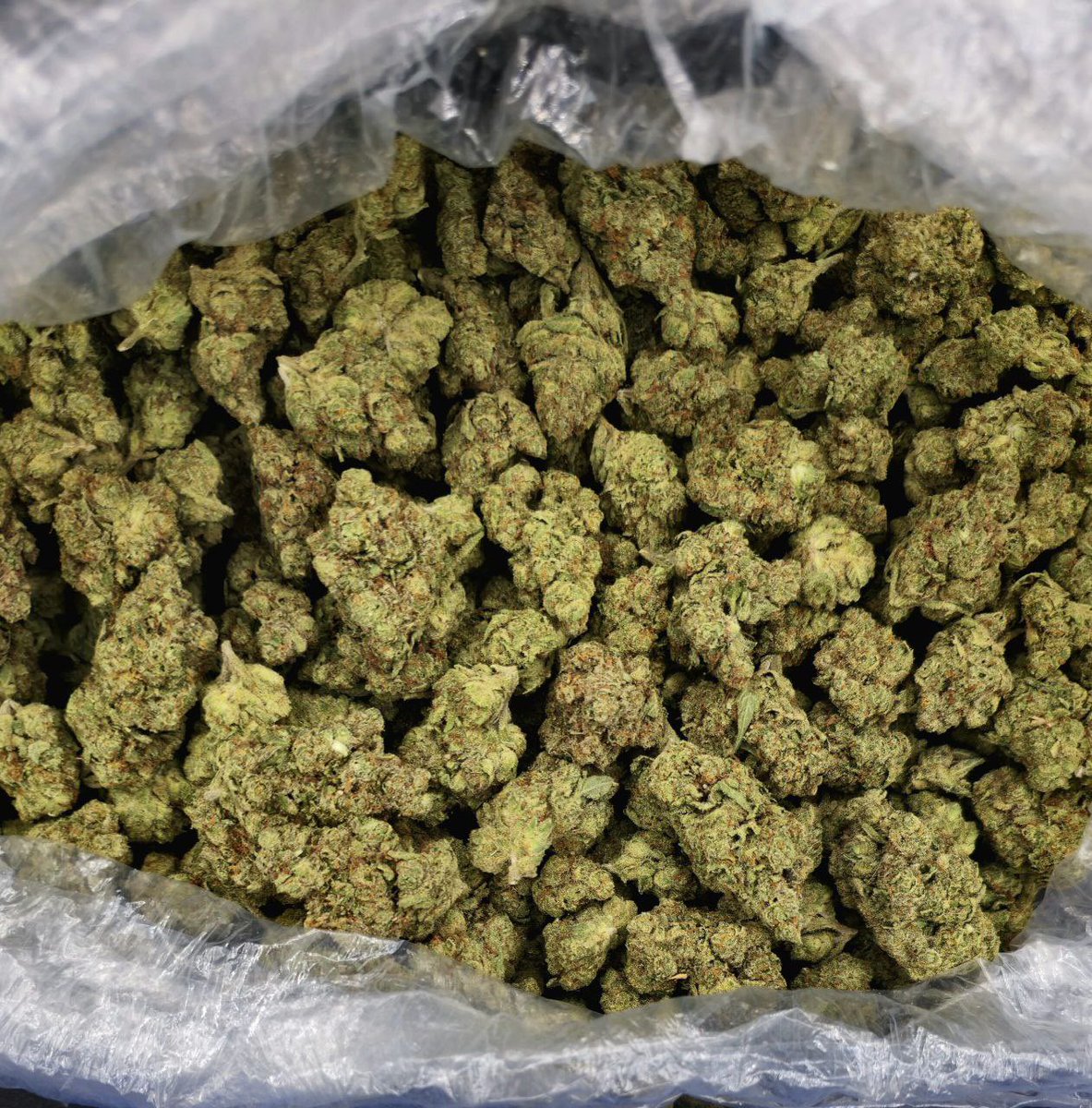 legit_weedplug's tweet photo. Come grab some
#londonweed #ukweed #liverpoolweed #cannabis #ukstoner #uk #birminghamweed #manchesterweed #newcastleweed #leedsweed #cbd #sheffieldweed #london #glasgowweed #bristolweed #thc #bhfyp #weed #nottinghamweed #brightonweed #dankofengland #hightimes #weedaustralia #uk https://t.co/NtkbtBjO0r
