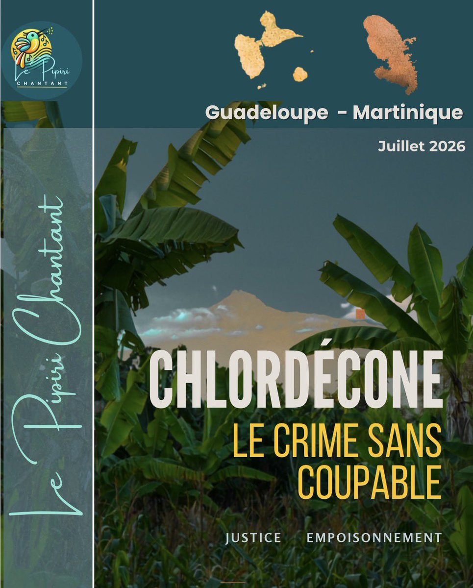 LePipiri's tweet photo. 1️⃣ #Chlordécone

Comment un des plus grands scandales sanitaires français peut-il se conclure sans condamnation pénale ? 
Le non-lieu est confirmé. 

Notre décryptage est à retrouver sur Instagram et Facebook : @Le Pipiri Chantant. https://t.co/BGecmRpNYS