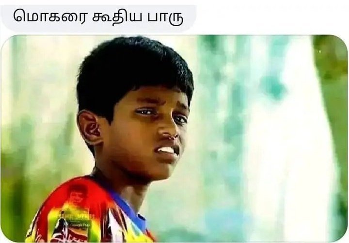 Follow_pandra's tweet photo. @Manja_lays https://t.co/KKTkrlnmW4