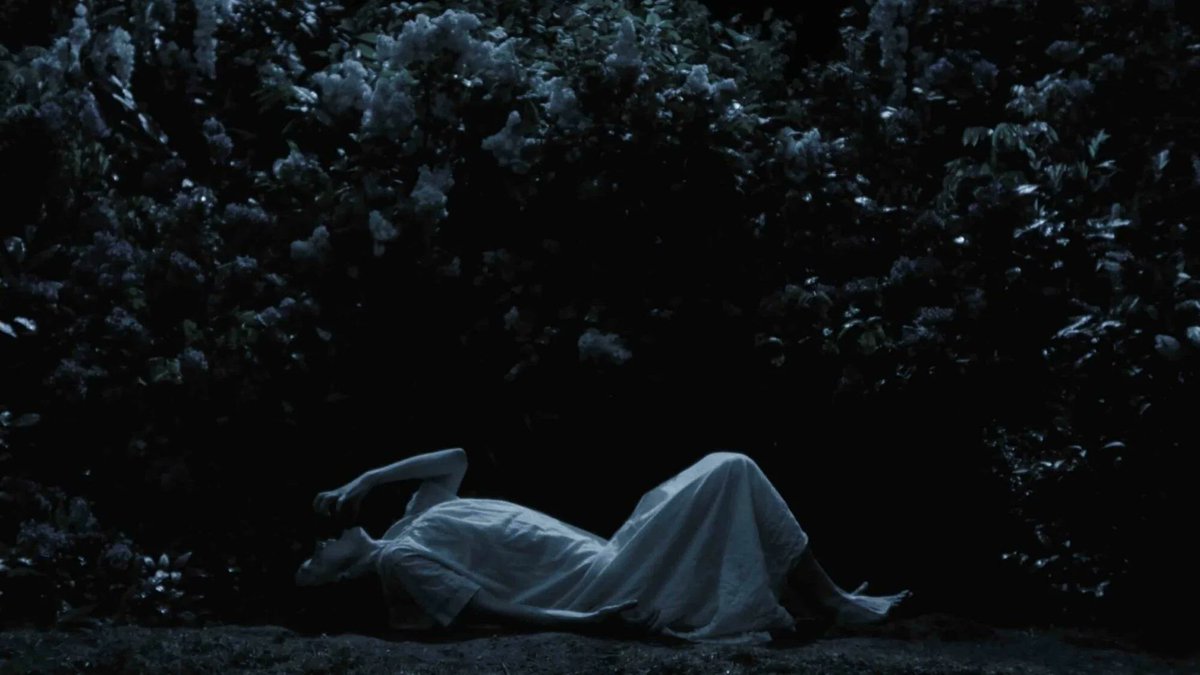 SpookyGinger's tweet photo. In Nosferatu, lilacs represent Ellens purity. She was upset when Thomas gave her a bouquet as he had ripped them from the ground killing them, foreshadowing her fate. Ellen was lay under a lilac bush as she gave herself over to Orlok, symbolising how he feeds off her desperation. https://t.co/a4OI0Y2inJ