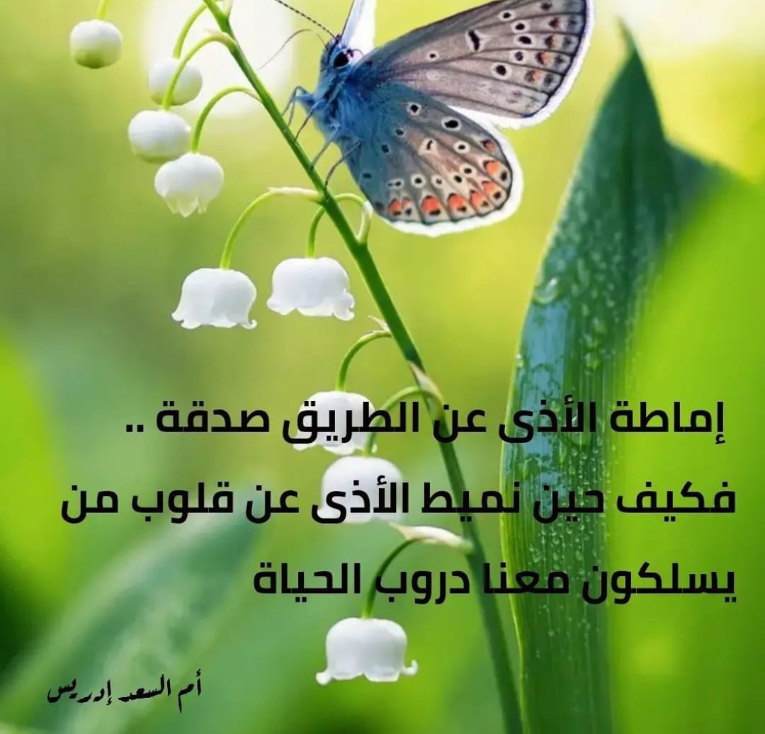 ofedrees's tweet photo. https://t.co/Z569Dunoh3