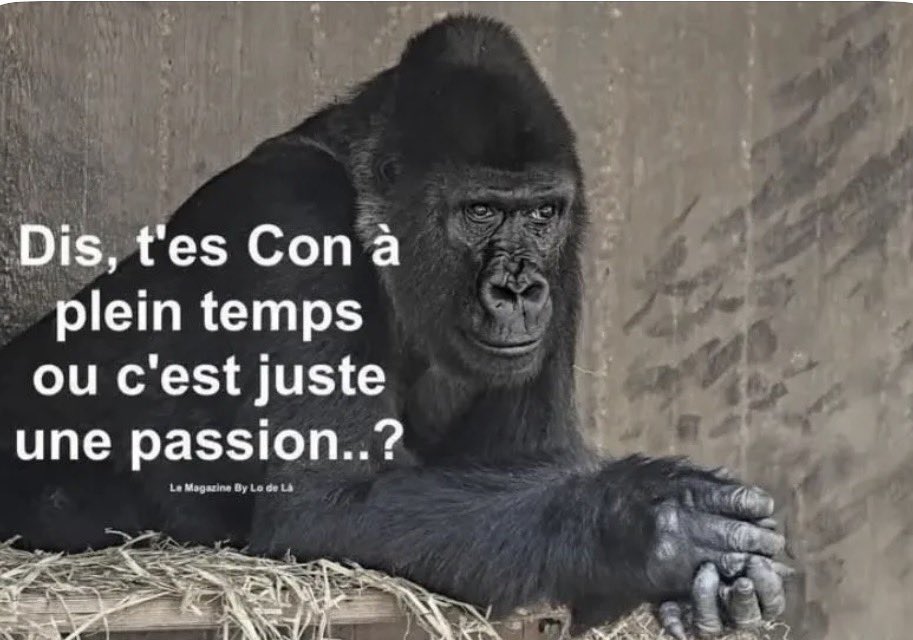 Redureau1's tweet photo. @ALeaument Même pas en rêve https://t.co/UmAwM4HjaK