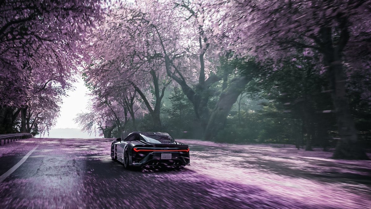 Subly_vp's tweet photo. Cherry Blossom road 💮

#ForzaHorizon６ #ForzaHorizon #VirtualPhotography #VPWorld #VGPUnite https://t.co/faiNrPBDcg