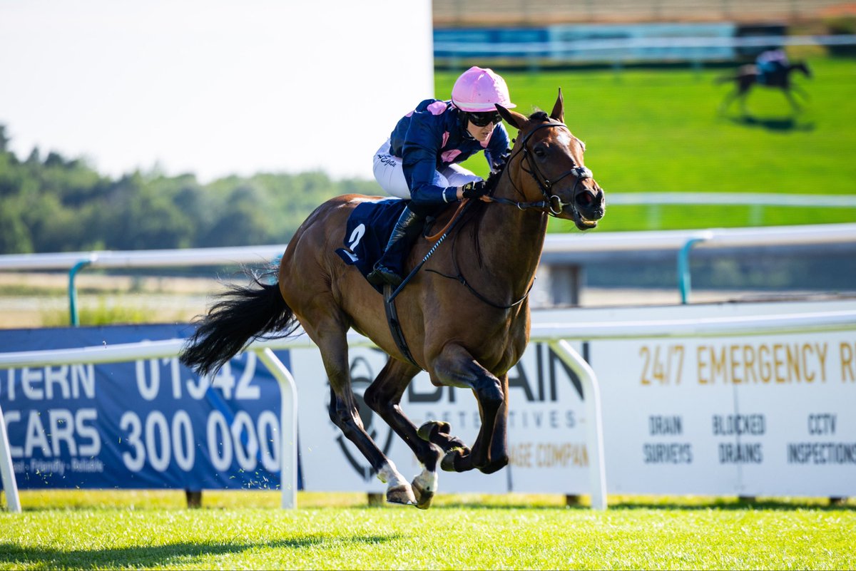 AvenueBstock's tweet photo. Dominant performance! Probation gets off the mark this evening on his handicap debut at Lingfield under jockey Alexandra Egan for trainer Kevin Philippart de Foy 🥇

Purchased at the Tattersalls Book 2 Yearling Sale from Hegarty Bloodstock by Avenue Bloodstock

#AvenueBloodstock https://t.co/2I0E17rUzJ